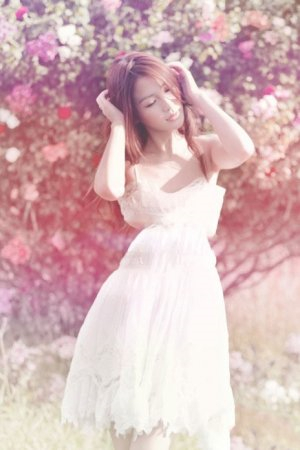 长安二十四计全集免费观看