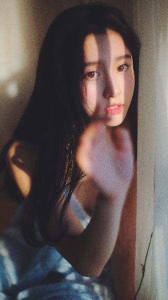 城中之城电视剧免费观看全集