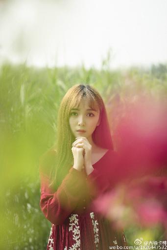 西游记86版全集