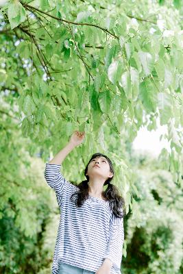 陈情令电视剧免费观看完整版高清