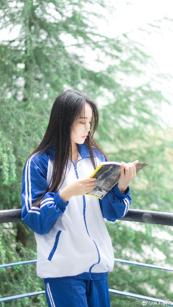 大秦赋全集在线观看免费完整版