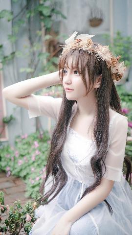 成人动漫在线观看