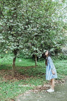 2025中文在线字幕免费观看电视剧