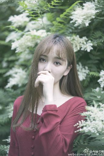 最近免费观看的好看电影