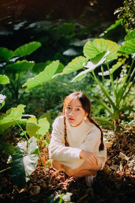 仙逆在线观看高清