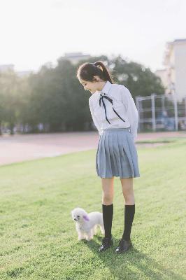 小巷人家电视剧免费观看