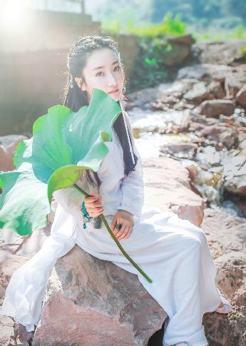 火影忍者免费观看全集在线观看高清