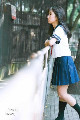 树影迷宫电视剧免费高清观看全集