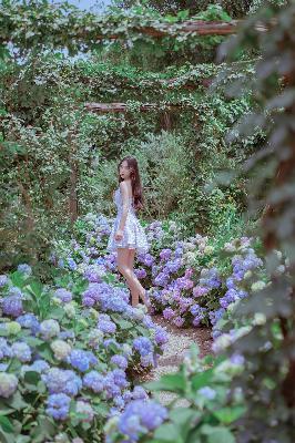 吃瓜网每日大赛