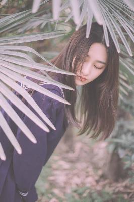 高清视频播放器大全