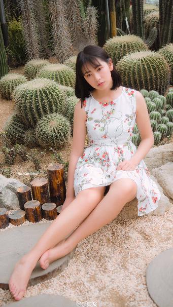 茶杯狐官方版官网