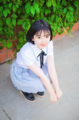 黎明之前电视剧免费观看完整版