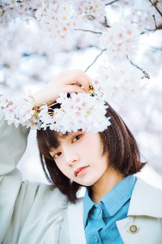 小巷人家 电视剧